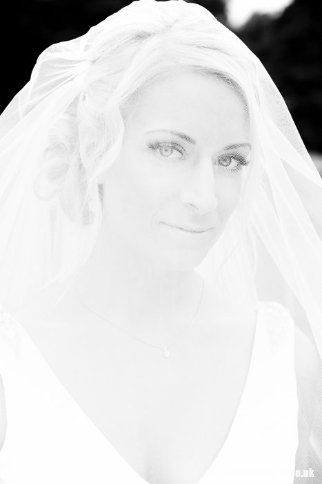 bride-with-veil_v1.jpg