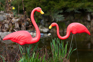 For Garden product catalogue