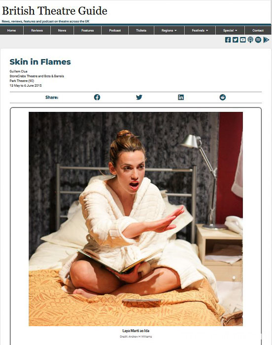 tearsheet-skin-in-flames.jpg